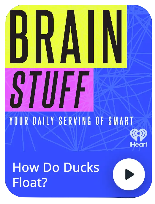 Brain Stuff Episode